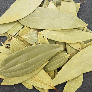 Bay Leaf
