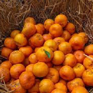 Khasi Mandarin
