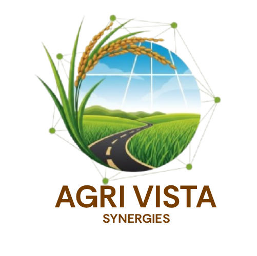 New Project (55) (1)