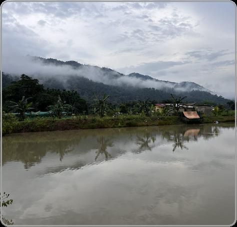 Misty morning over the farm pond at Umsur